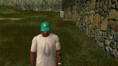 Tampa do GTA 6